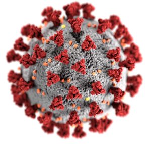 Прививка защитит от коронавируснои инфекции, вызываемои вирусом sars-cov-2